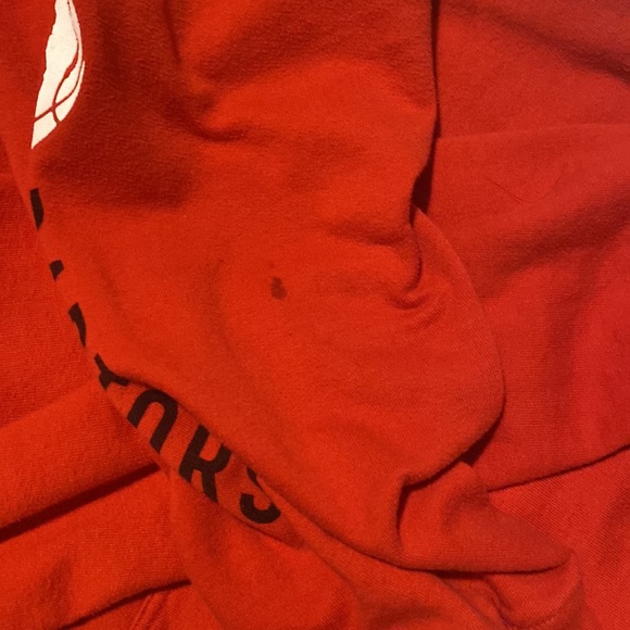 Toronto Raptors hoodie - Picture 3 of 4